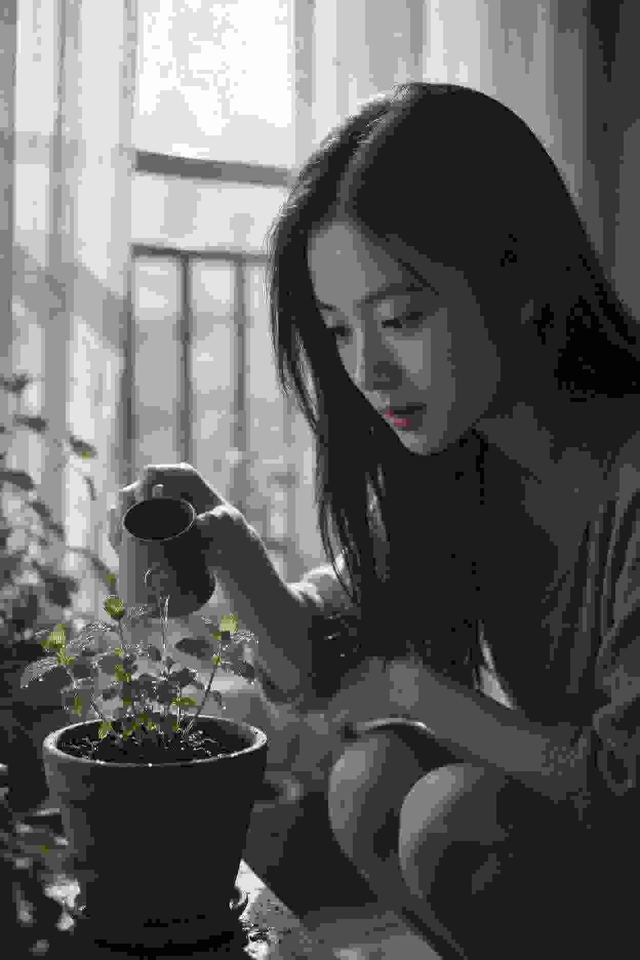 江南春梦
